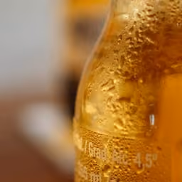 Bottiglia di birra ghiacciata