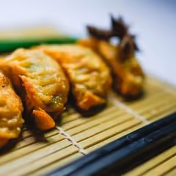 Gyoza fritti su stuoia di bambù