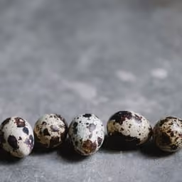 Uova di quaglia