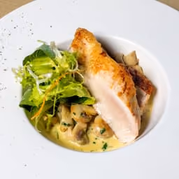 Pollo con funghi e insalata